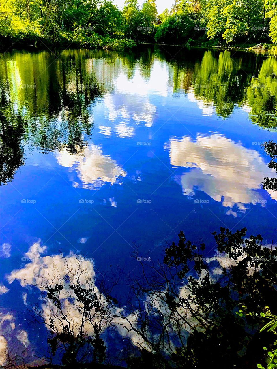 Bright reflection