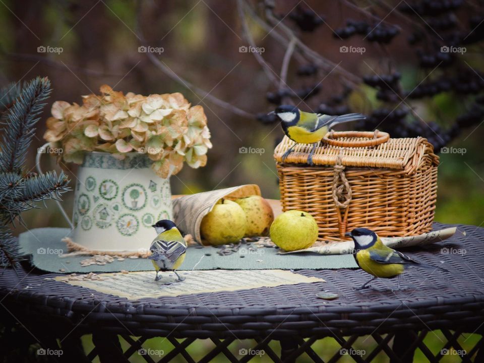 Still life with small birds 