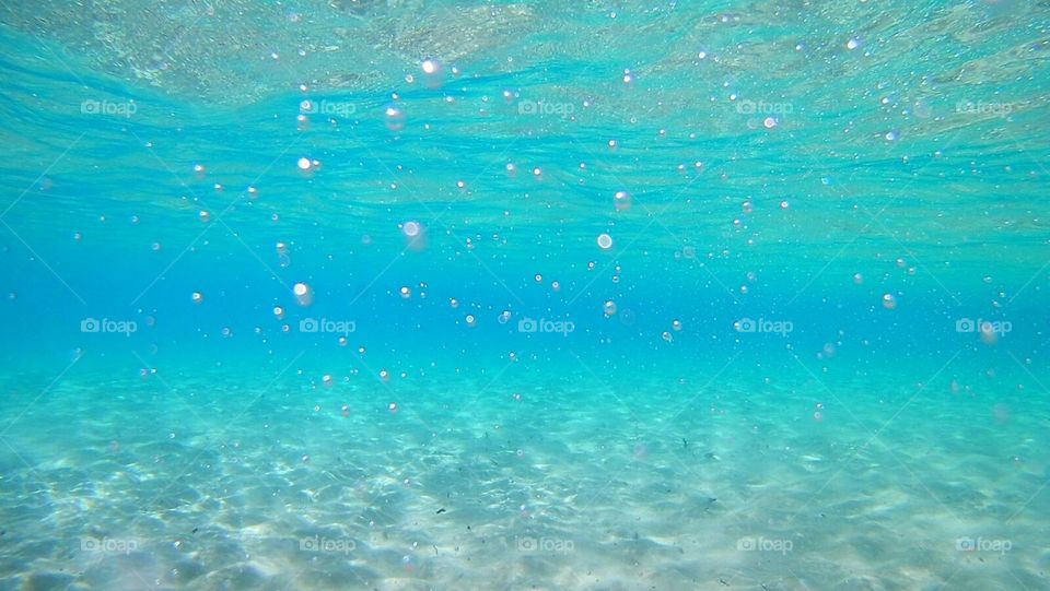 sea underwater underworld summer sea mare profondo Sardegna Sardinia