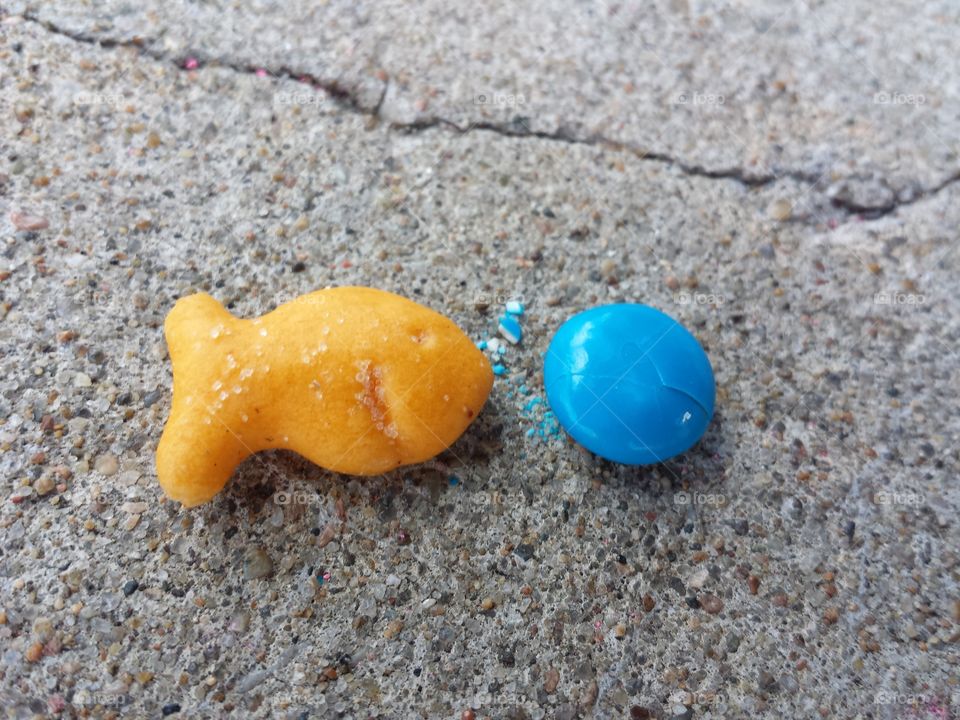 Gold Fish vs Blue M&M