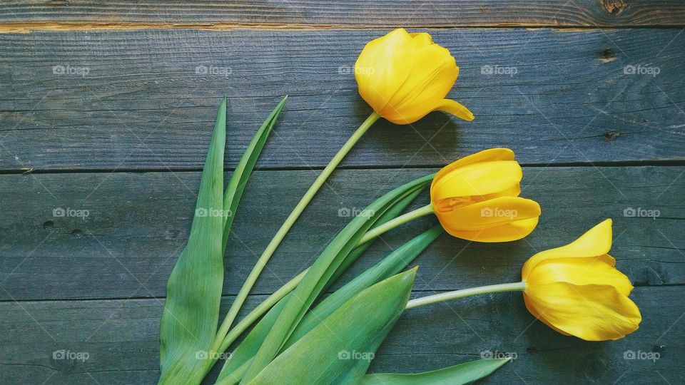 Yellow tulips on the table