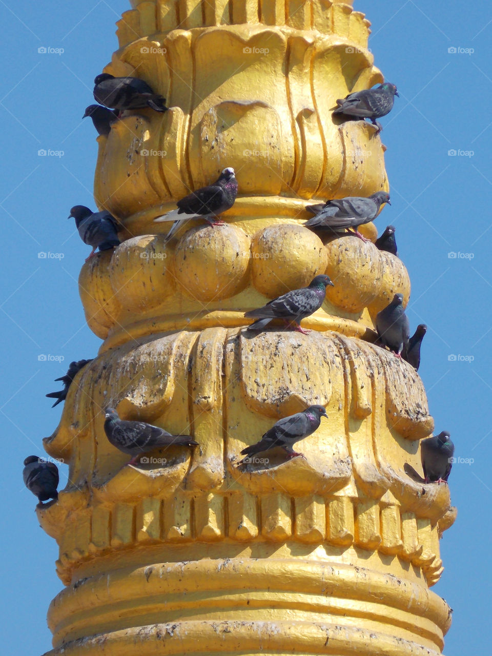gold pagoda. gold pagoda temple myawaddy myanmar