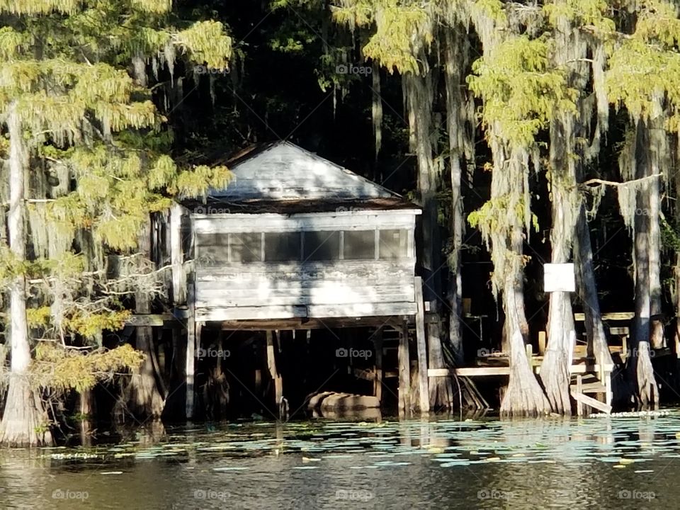 Swamp Hut Close Up Caddo Lake