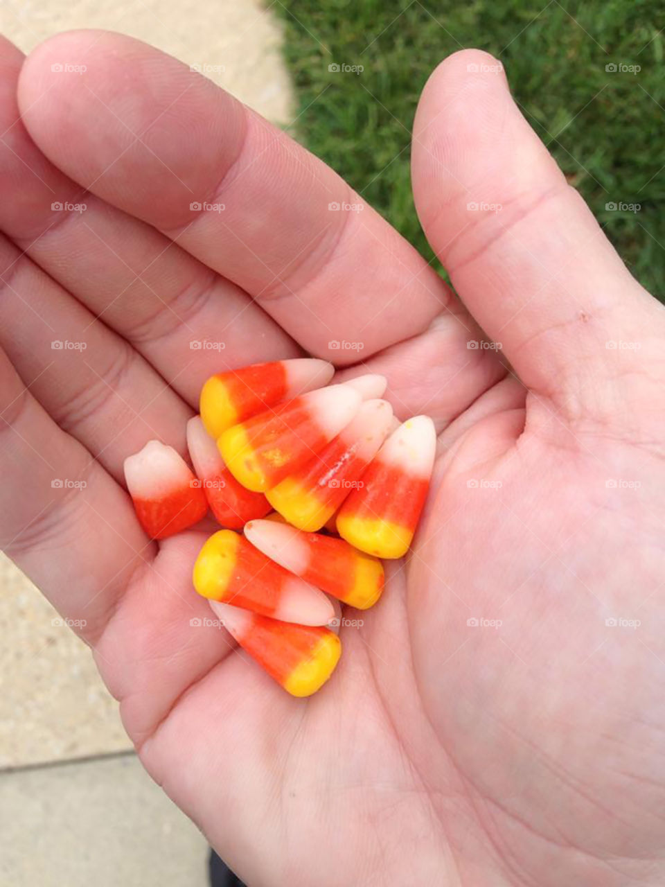Hand holding pieces of candy corn. 