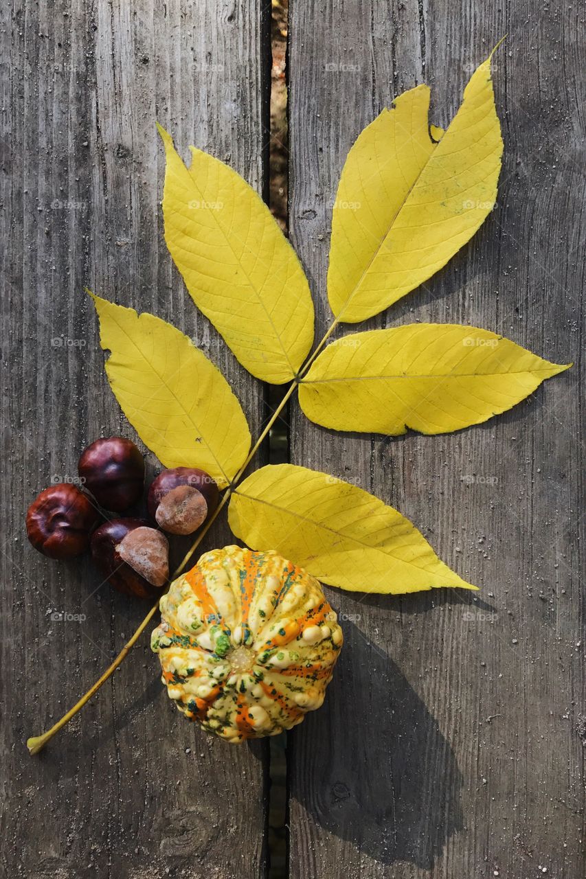 Yellow leaves