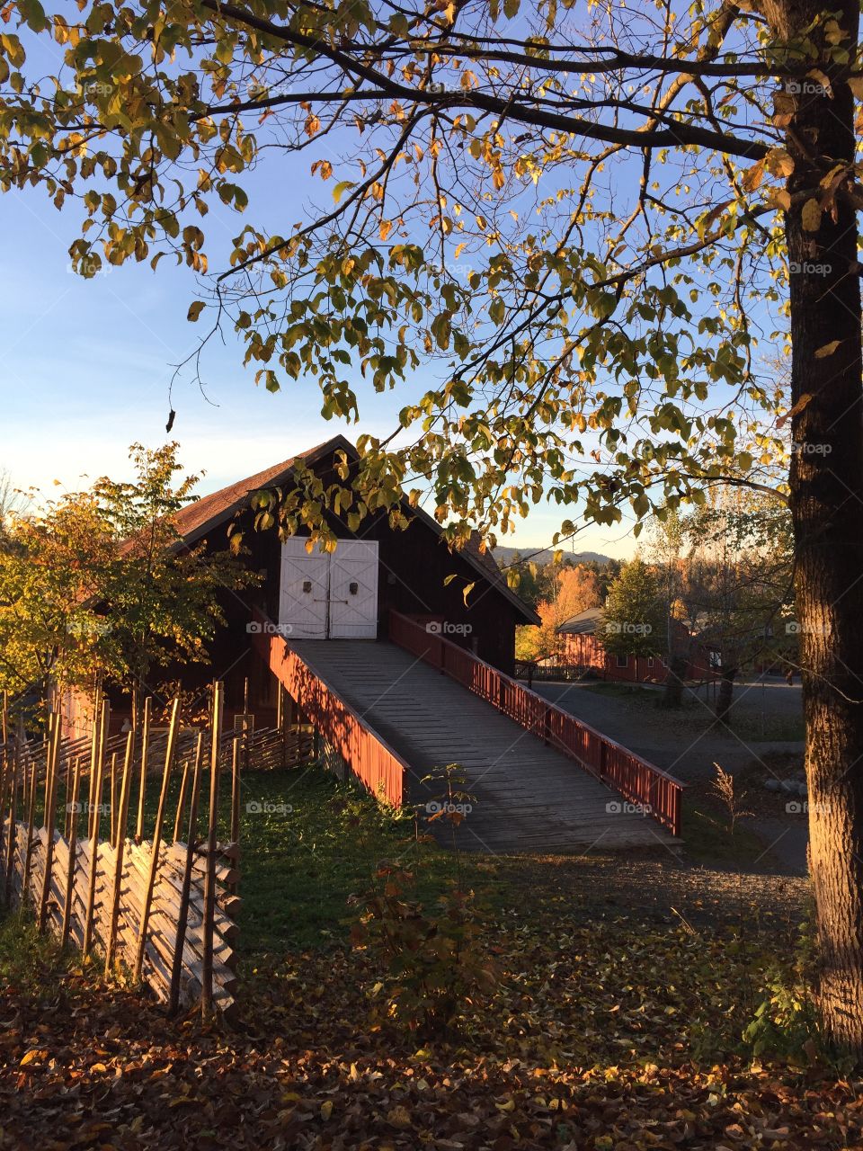 Steinerskolen Bærum, Norway. Fall