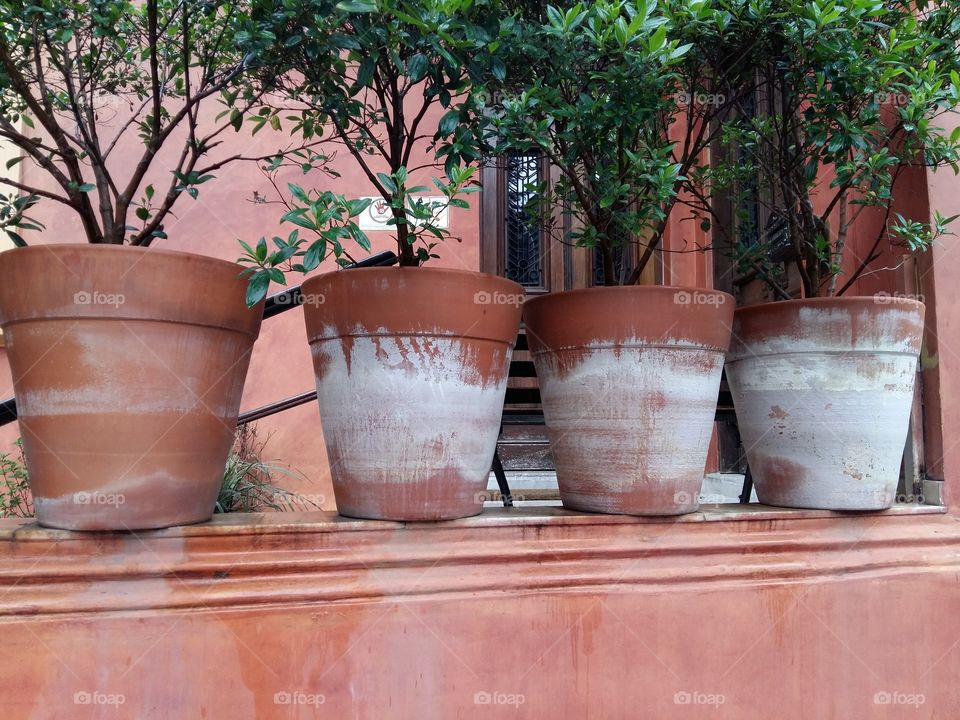 Pot, Pottery, Flowerpot, Vase, No Person