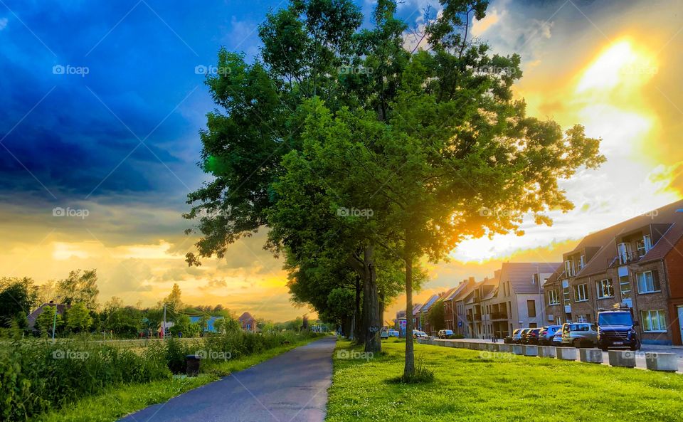 Stormy weather coming in over the village at sunset showing the dark clouds at one side of the trees and road and a sunny sunset sky on the other side