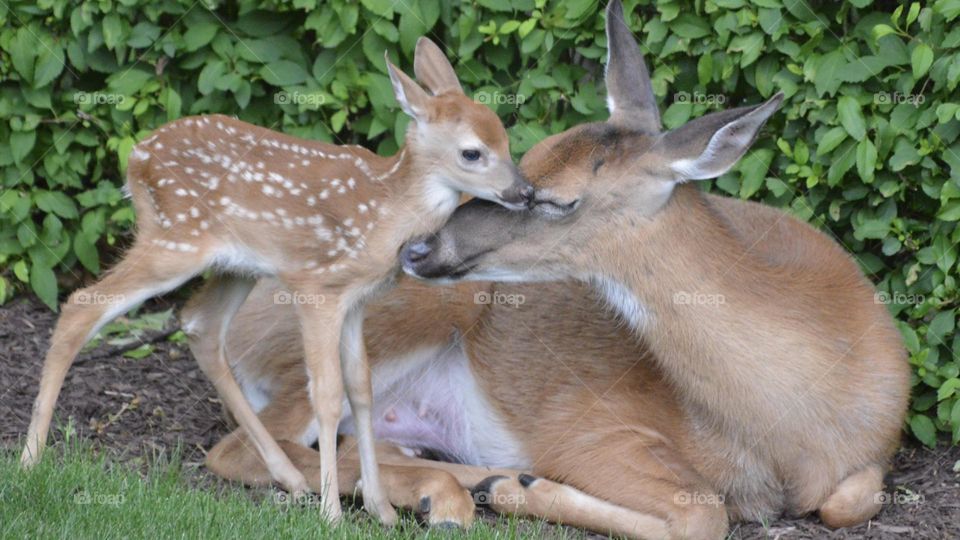 Happy with her newborn 