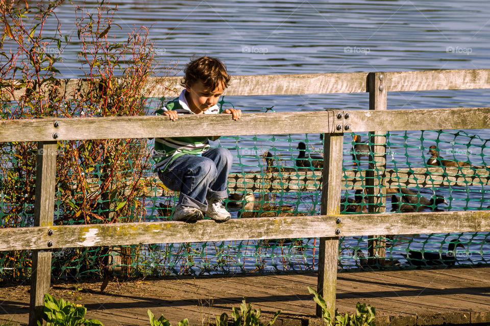 Boy climbing the bridge