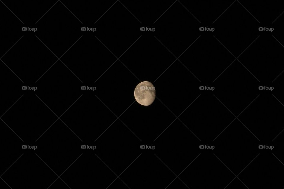 Late night crescent moon
