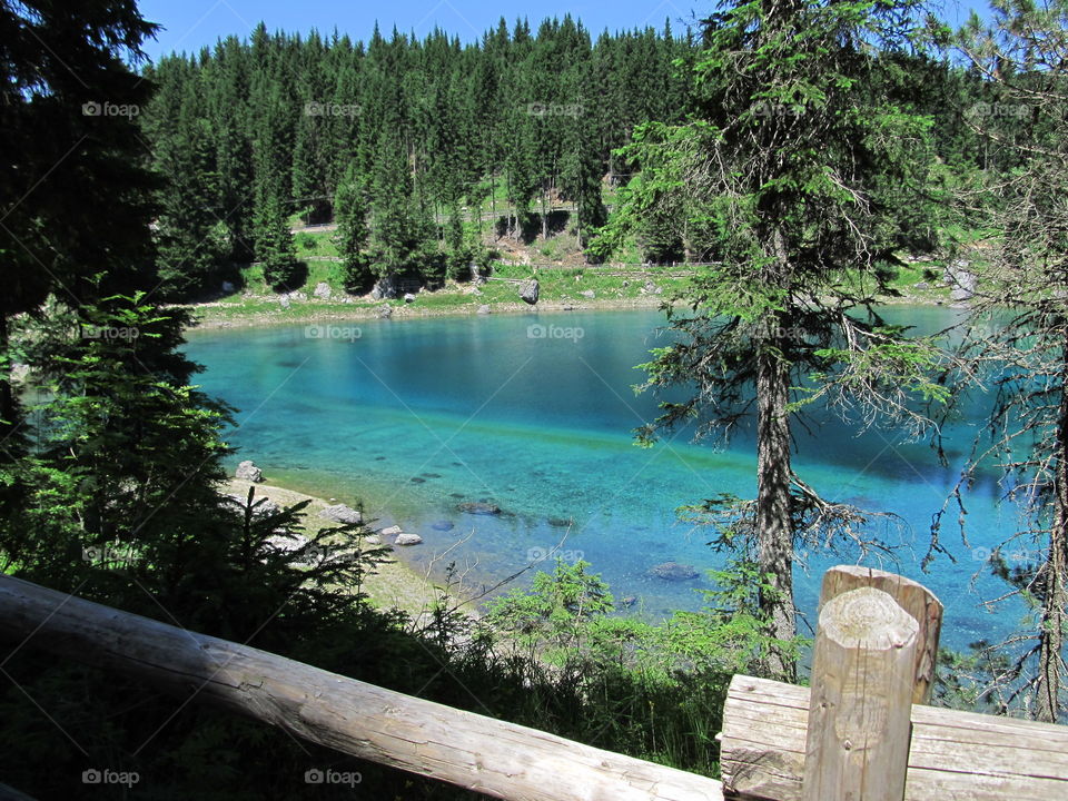 colours - lake - peace - wow - forest - dolomiti - latemar - carezza lake - summer - mountain