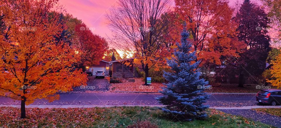 Autumn rainy evening