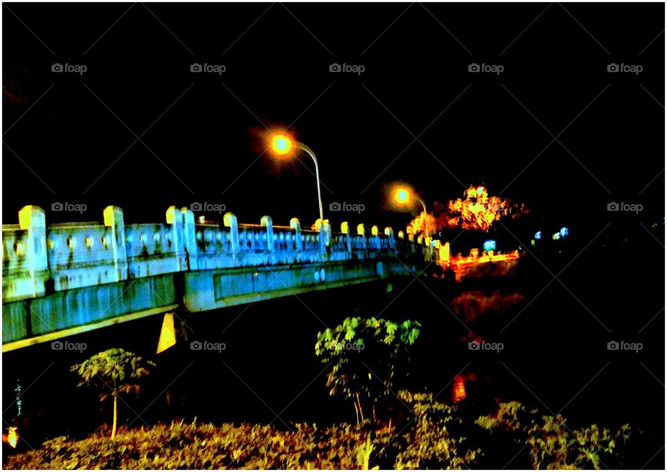 the night bridge