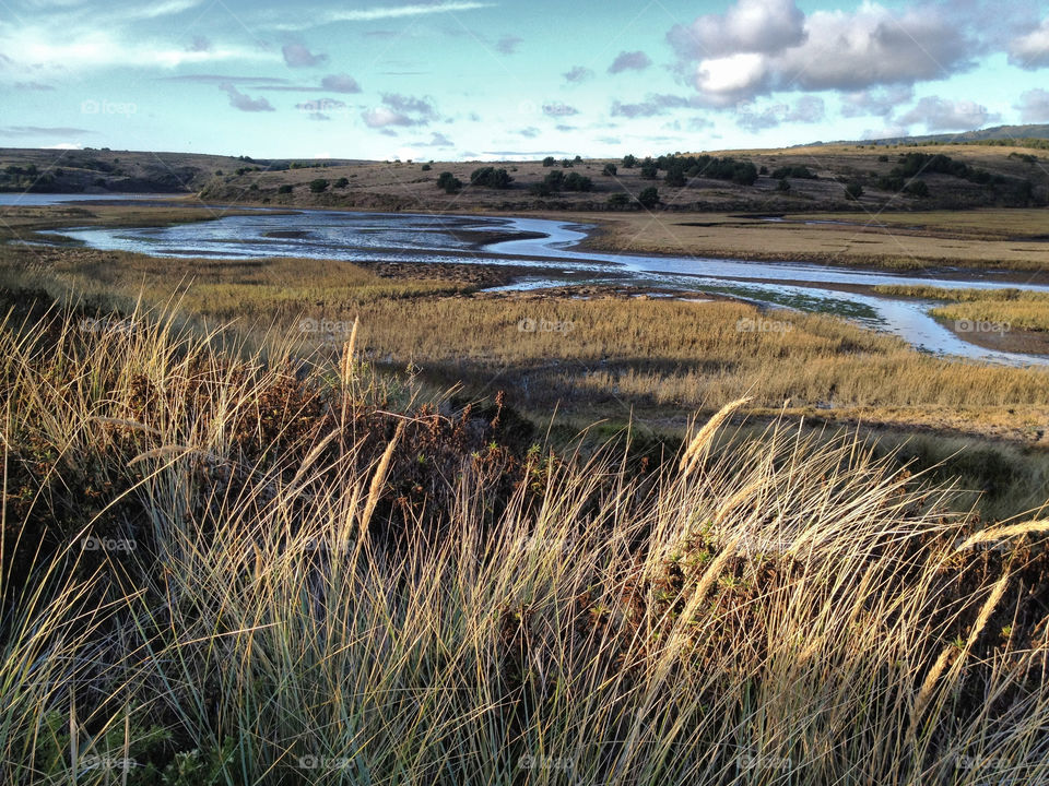 stream estuary rolling hills point reyes by pixel