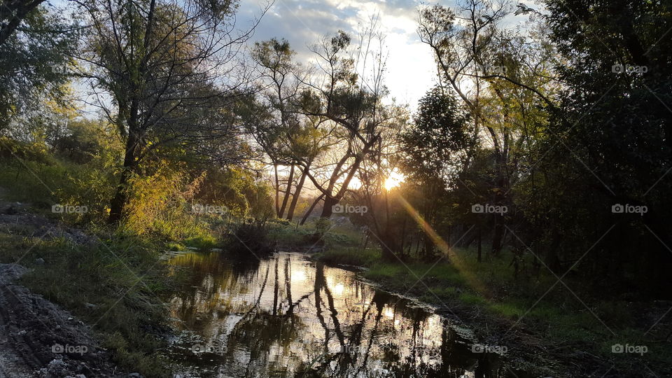 sunset . sunset in the river between trees 