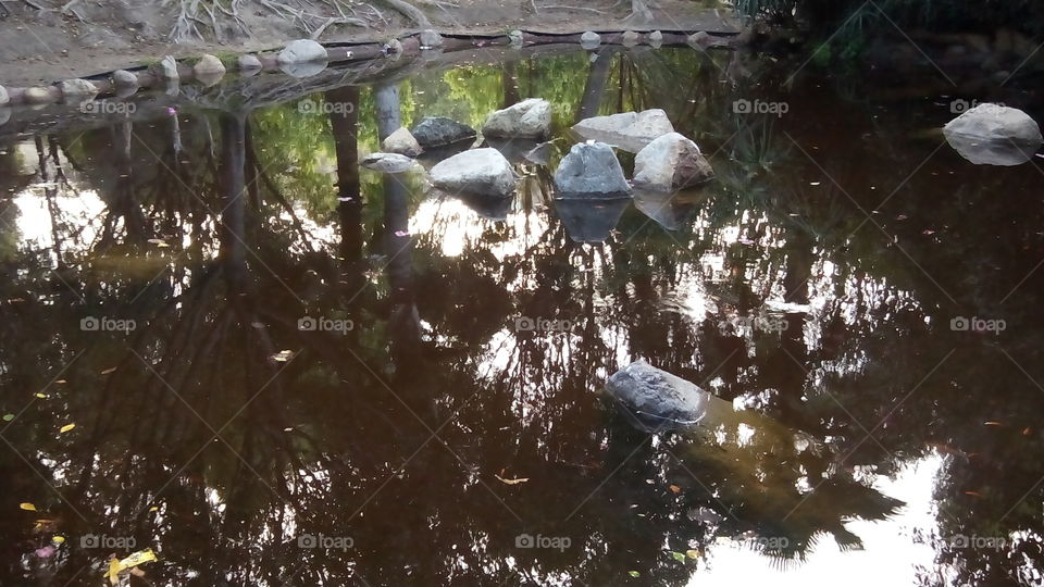 Artificial lake. Park at the City 