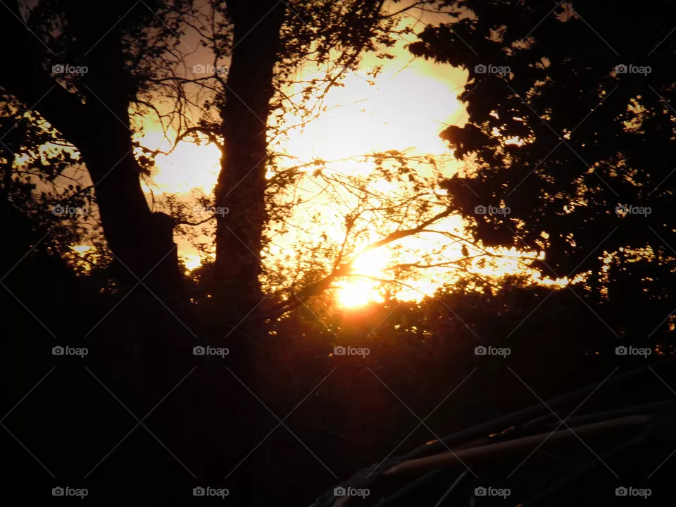 sun