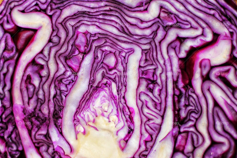 Close-up of a halved red cabbage with its patterns, lines and rich purple color