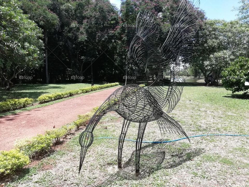 It's a bird without life # iron bird.. The pet bird of Iron man 💪😅😅