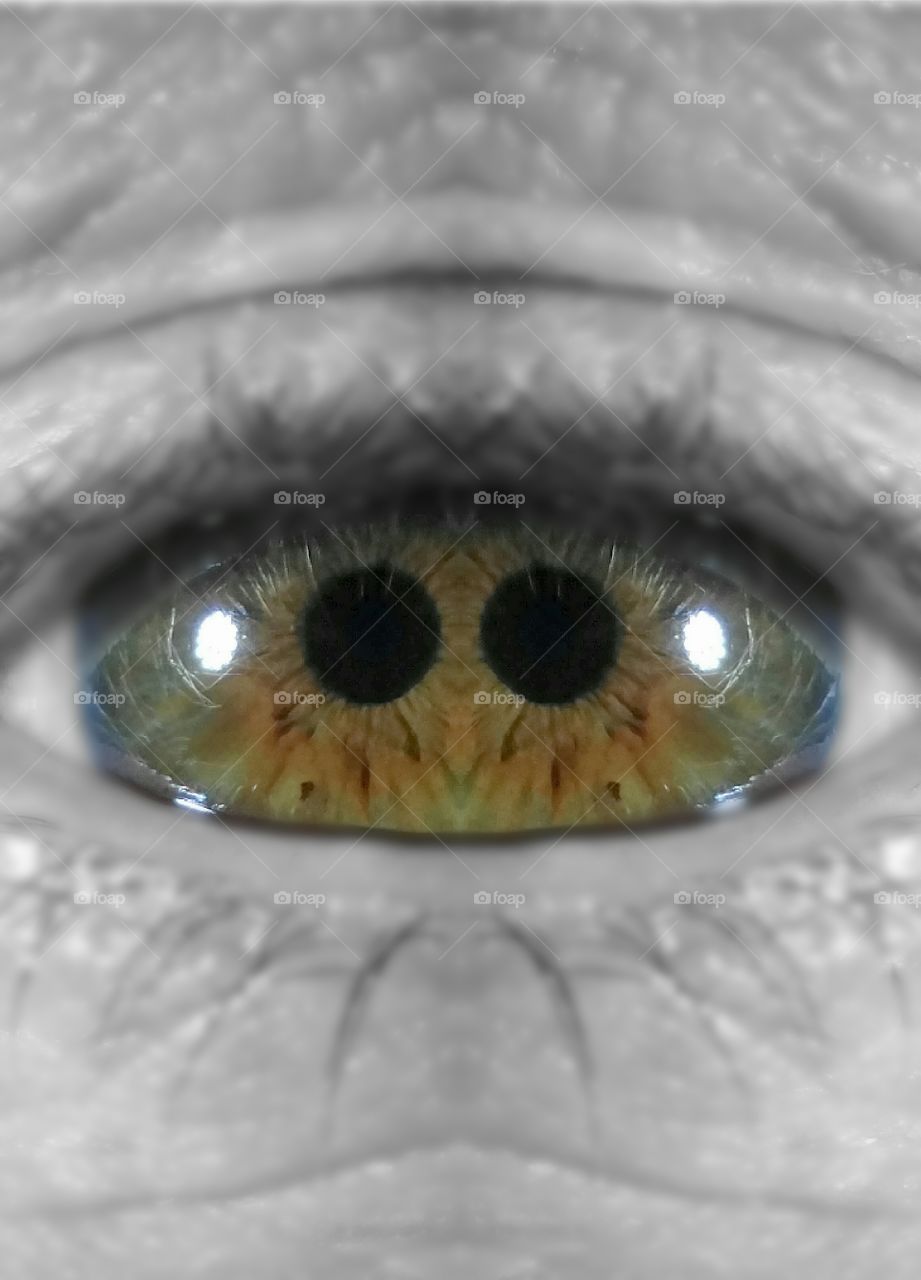 Double Iris