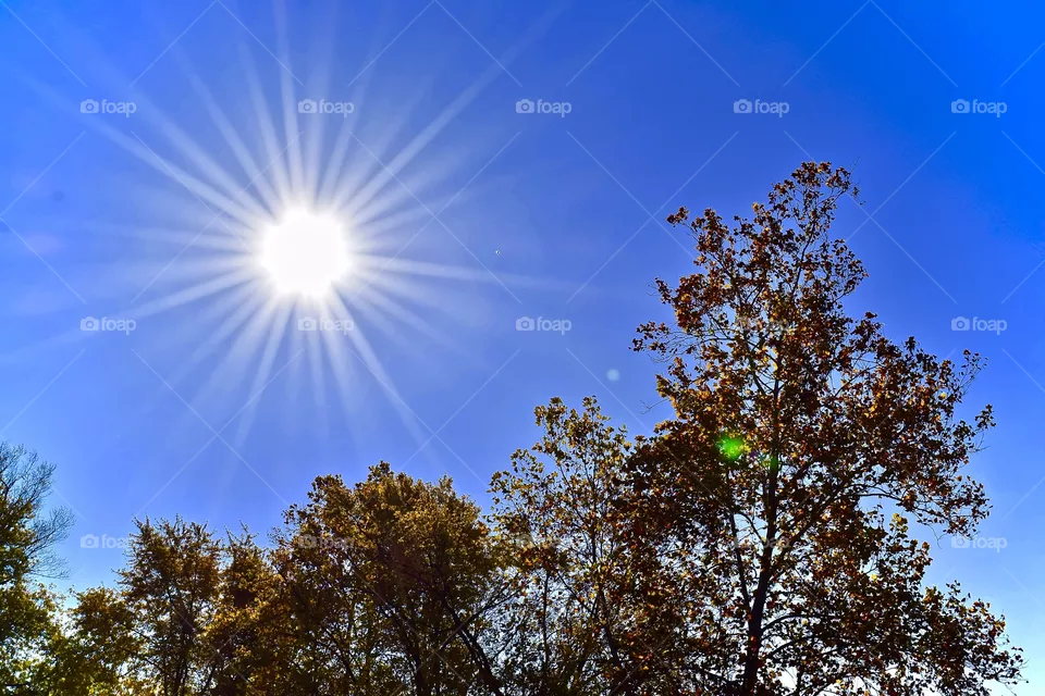 Sunbeams