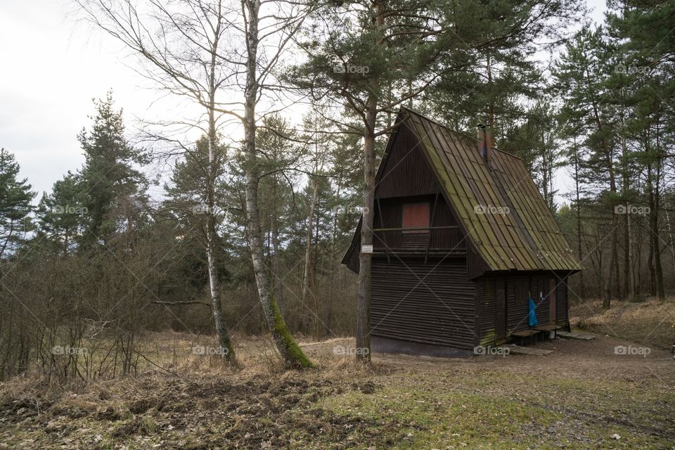 Hut in the woods