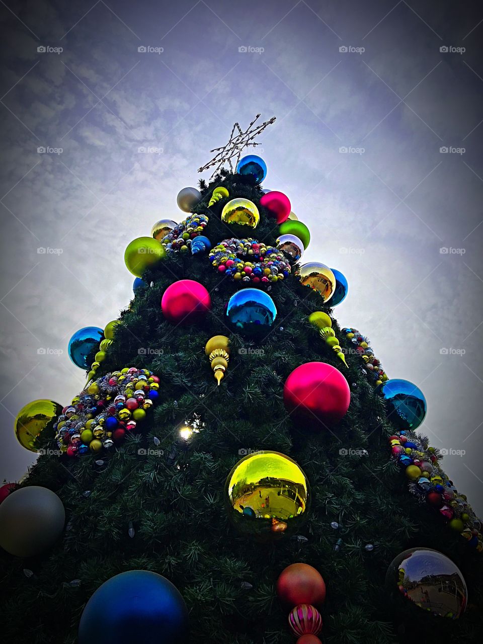 Looking up at the Christmas tree and the sky.