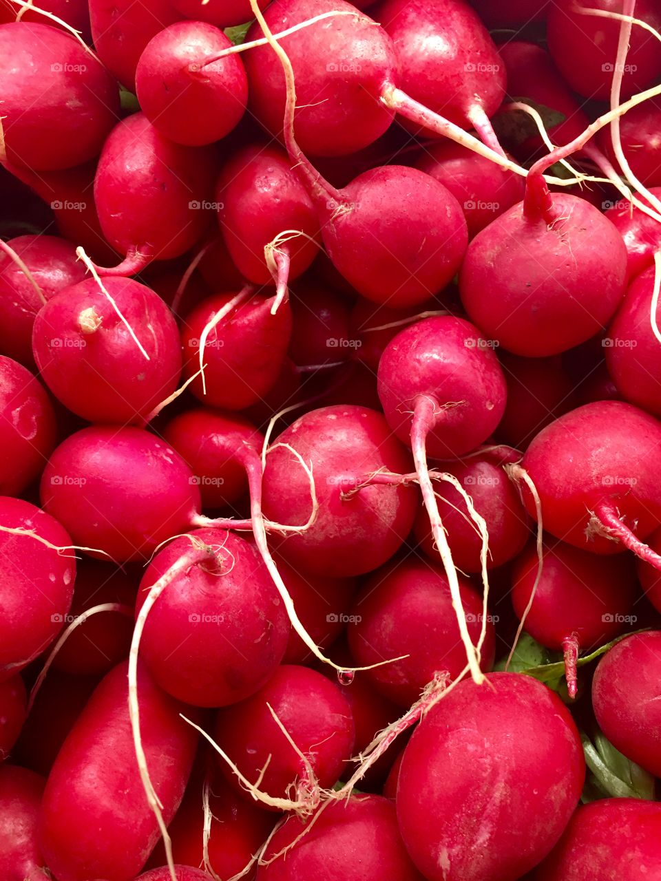 Radishes 