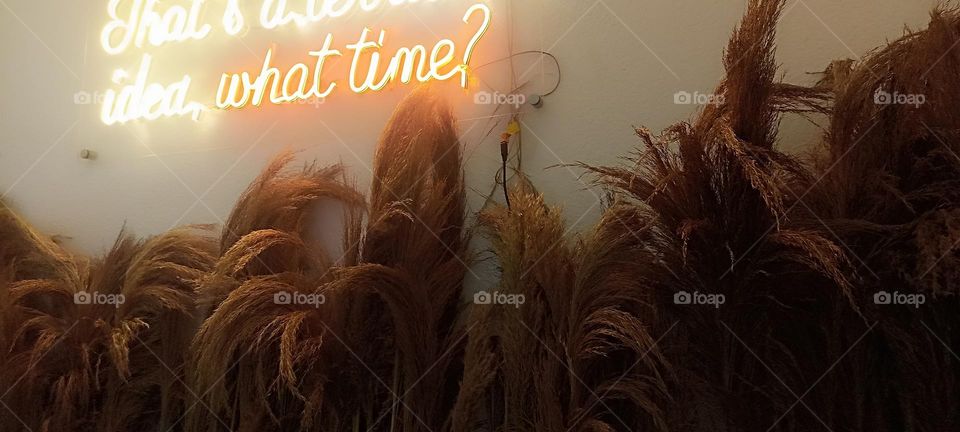 light on dry bushes that are used for a restaurant sitting. perfect for today's theme in today's culture.