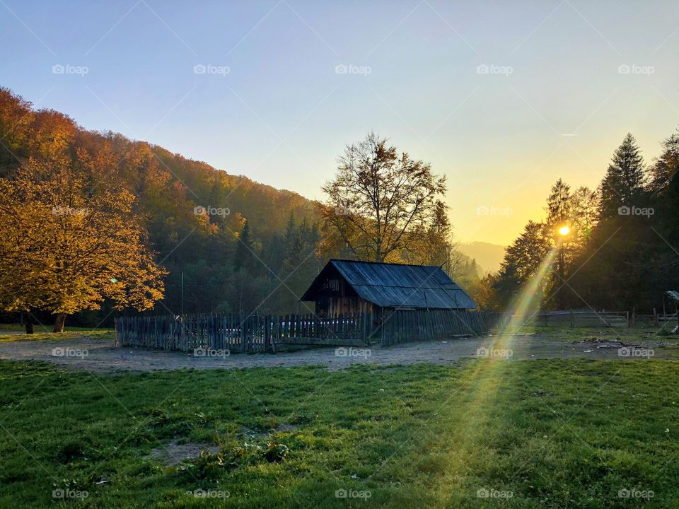 Lonely house