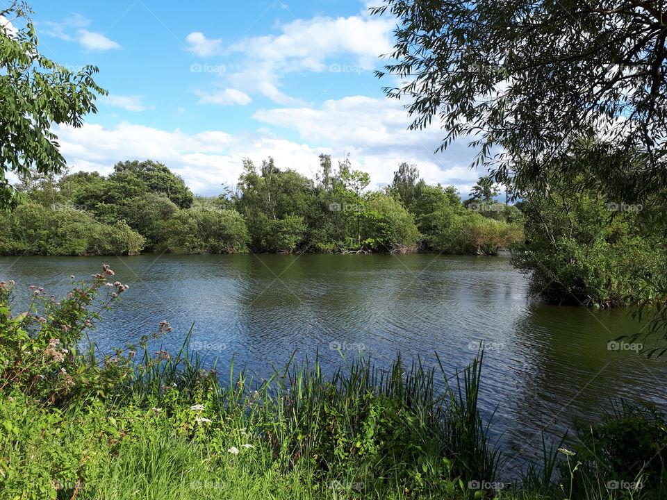 Lake In The Countryside