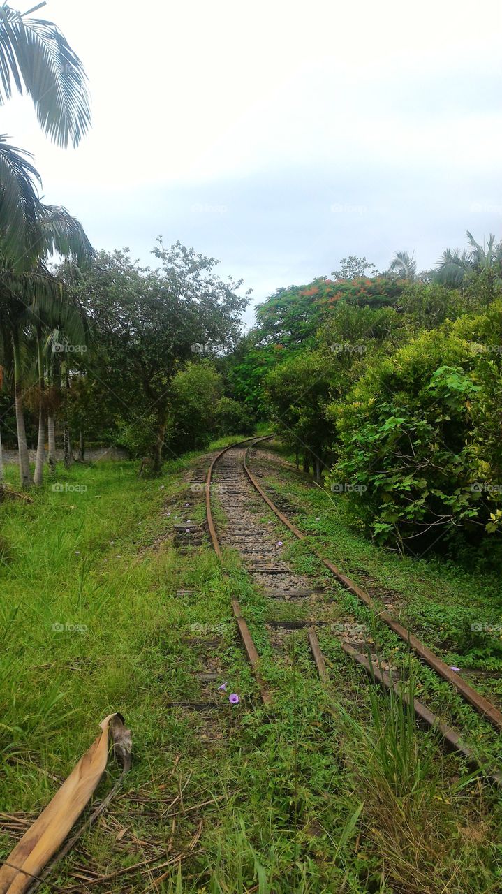 Morretes/PR.   Att.Aliciane