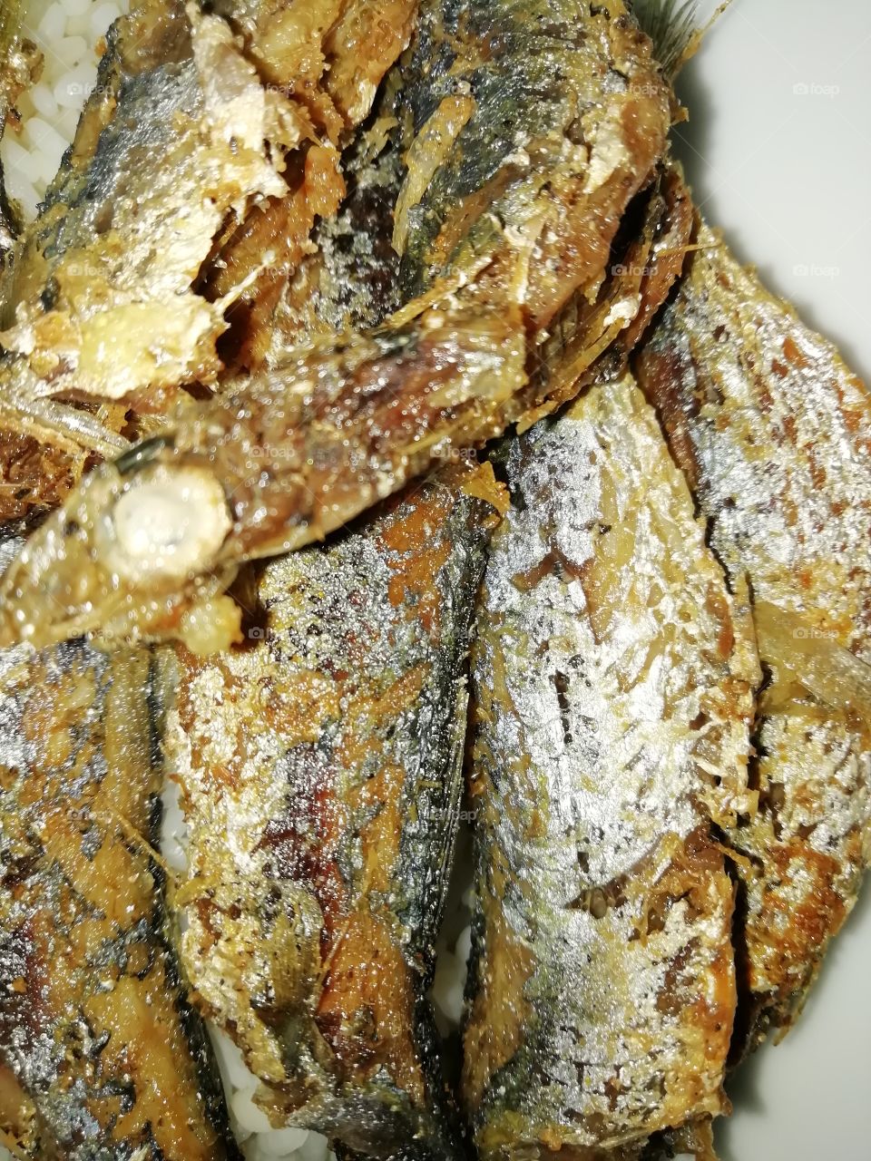 Fried fish