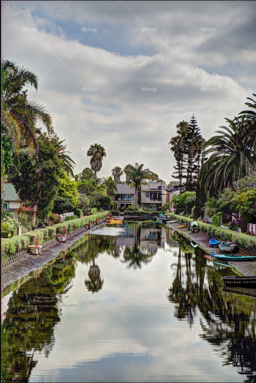 Tree reflecting on canals