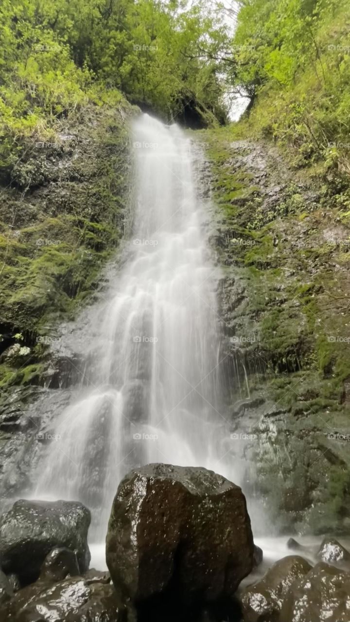 Secret Waterfall in Hawaii