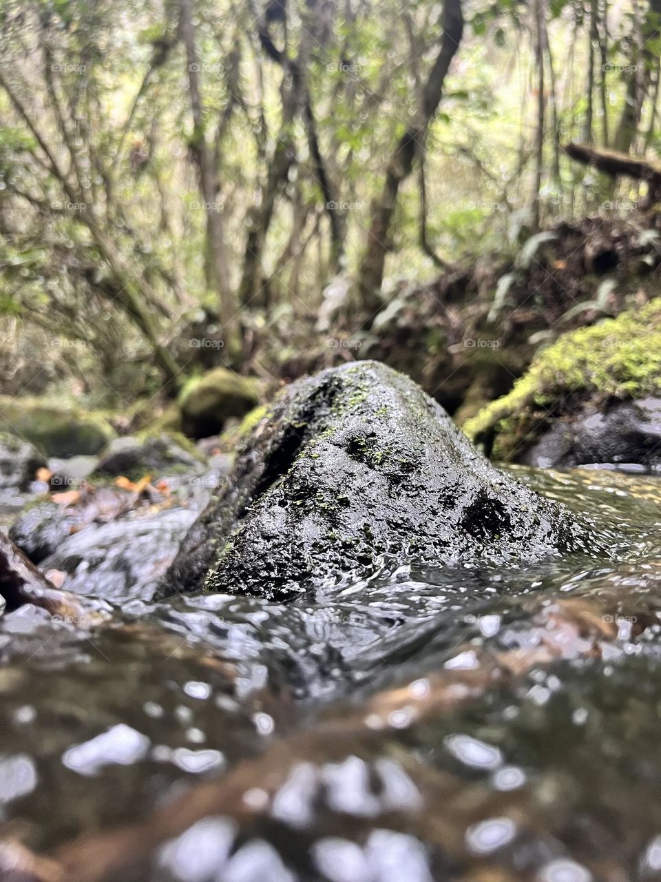 Rocks in the water 