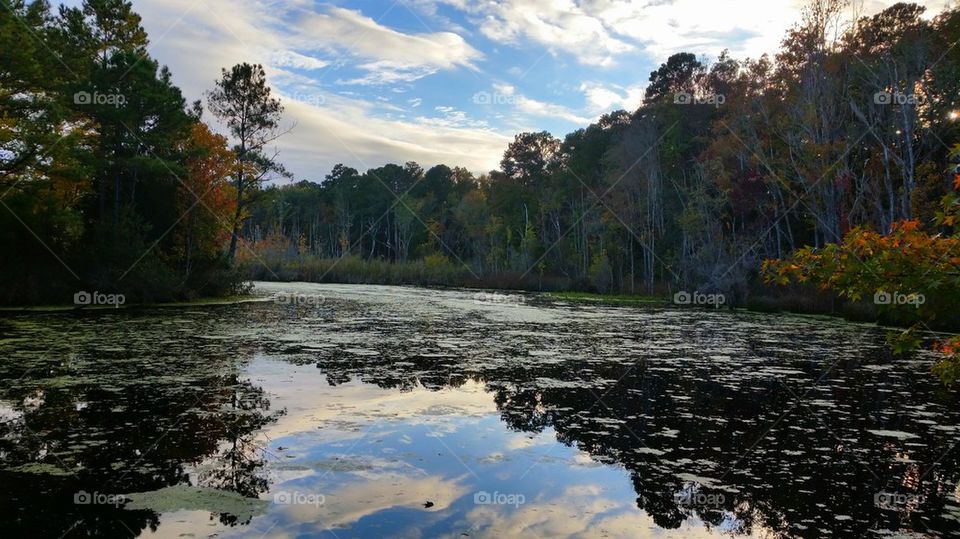 Autumn trees reflecting in lake