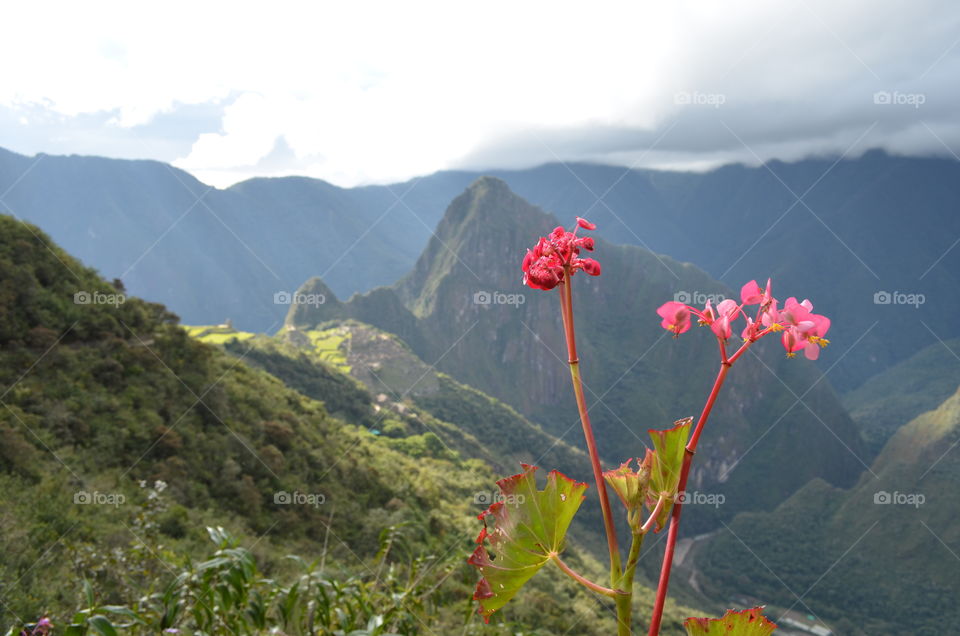 Machu Picchu window 