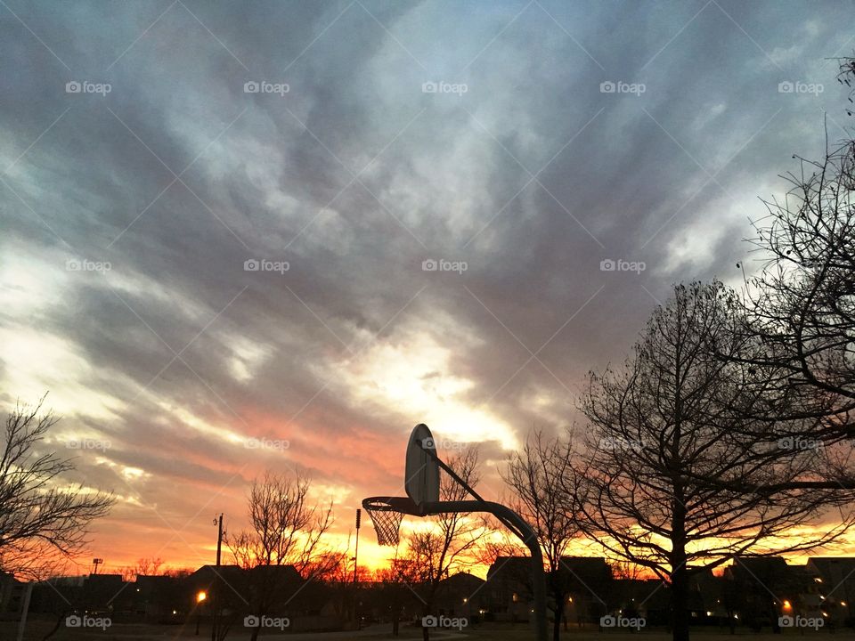 a basket and trees in the sunset of a cloudy day