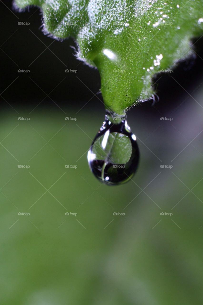 Droplet of Water 2