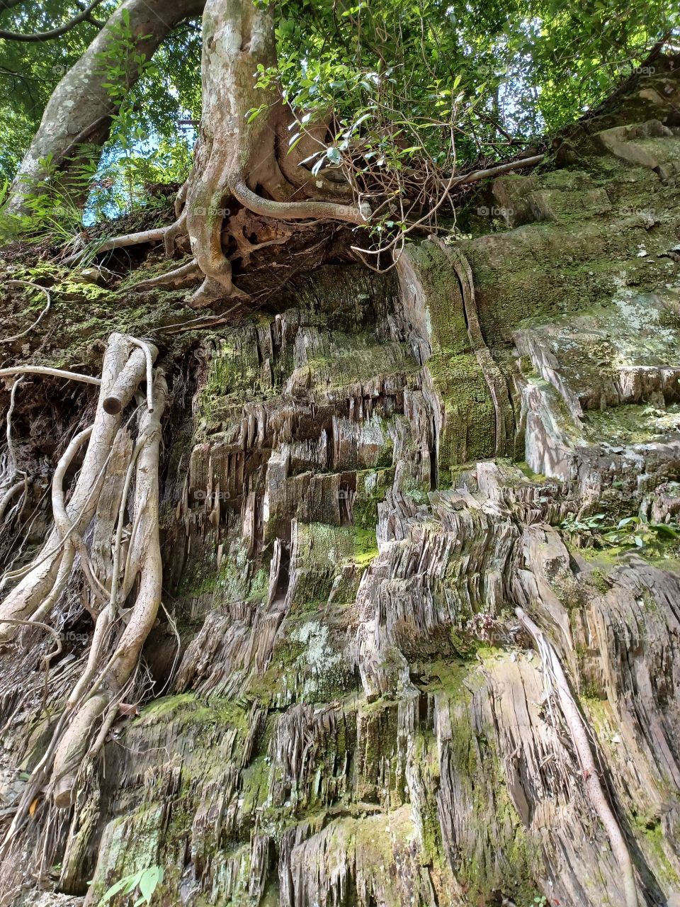 Shale rocks covered with green moss.