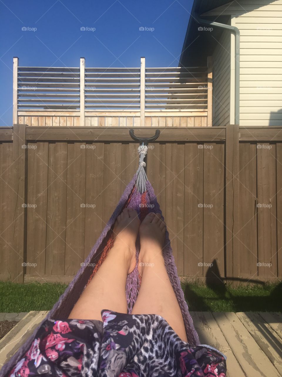 Life in a hammock 