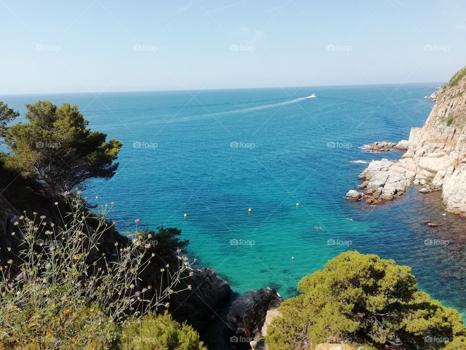 Tossa de mar