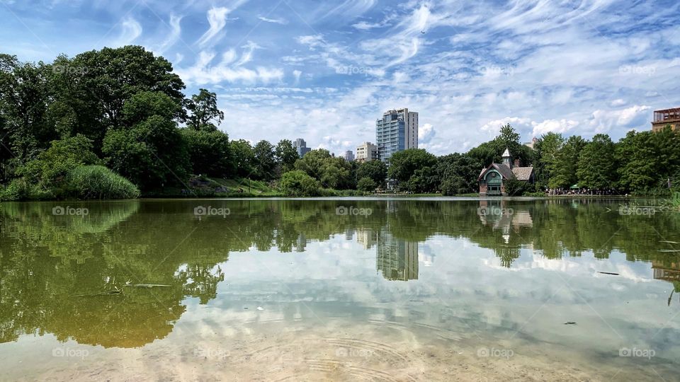 Symmetry of the trees and the building 