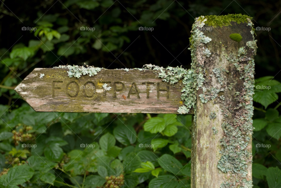 path direction lichen sign post by markhowden