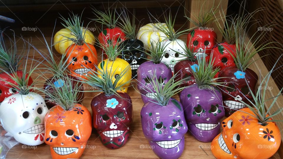 Skull Plants