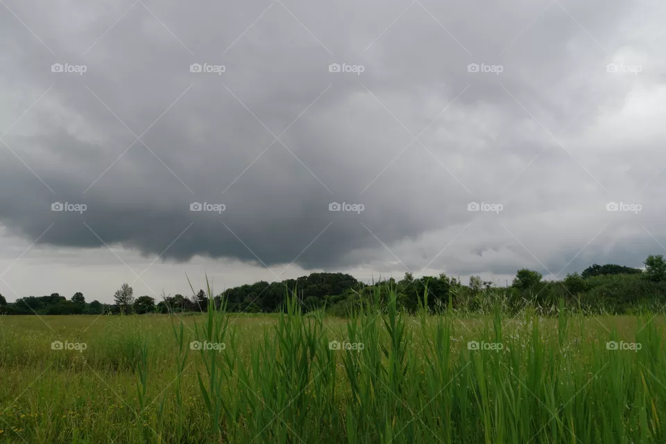 Storm