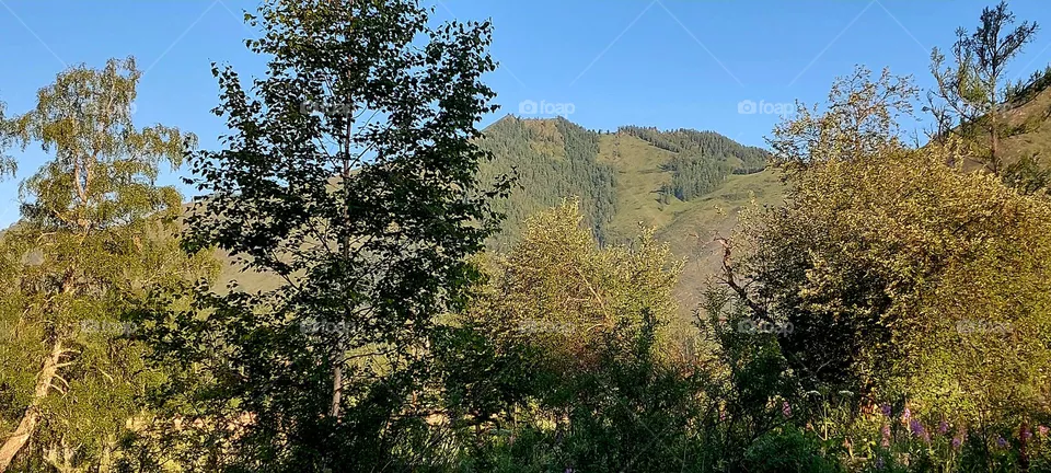 mountains are life