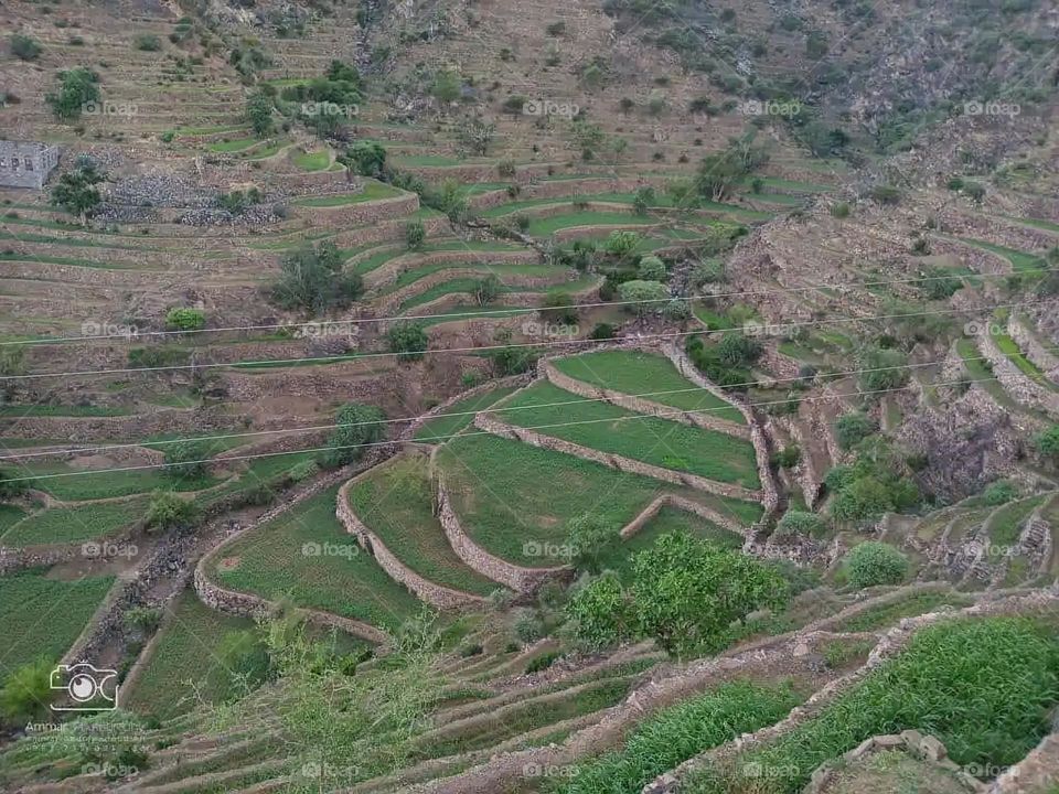 Glory be to God, the magnificent and picturesque view and the natural green trees are a view that is nothing more wonderful than it